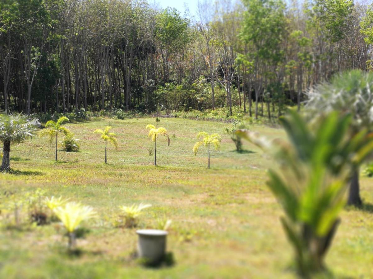 Palm Garden House *